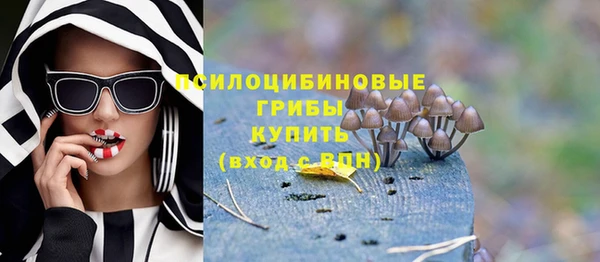 сатива Армянск