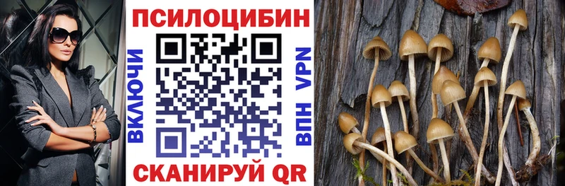 как найти наркотики  Кинель  Галлюциногенные грибы MAGIC MUSHROOMS 